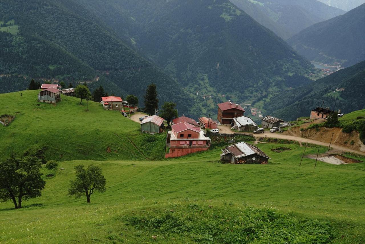 Gumul Pansiyon Uzungöl Exteriér fotografie