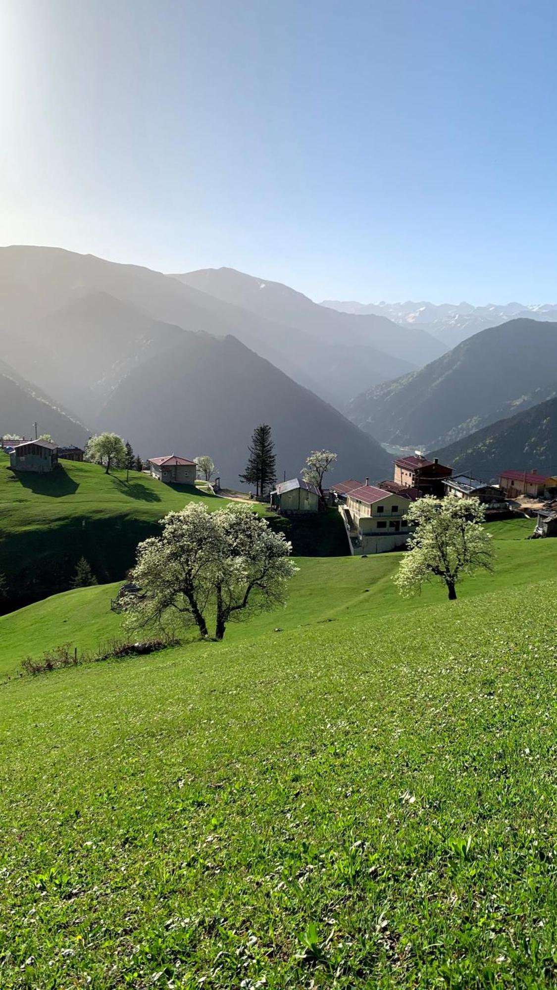 Gumul Pansiyon Uzungöl Exteriér fotografie