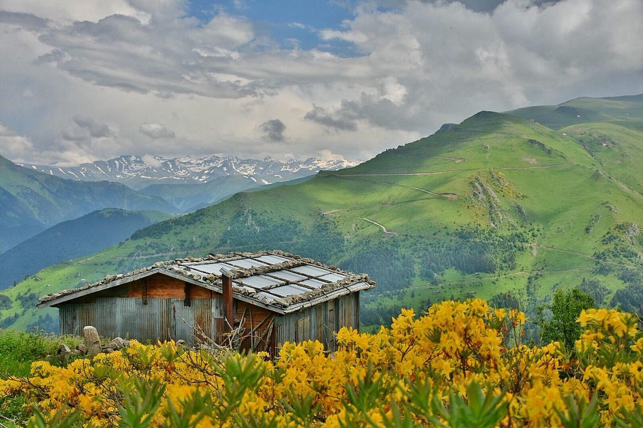 Gumul Pansiyon Uzungöl Exteriér fotografie