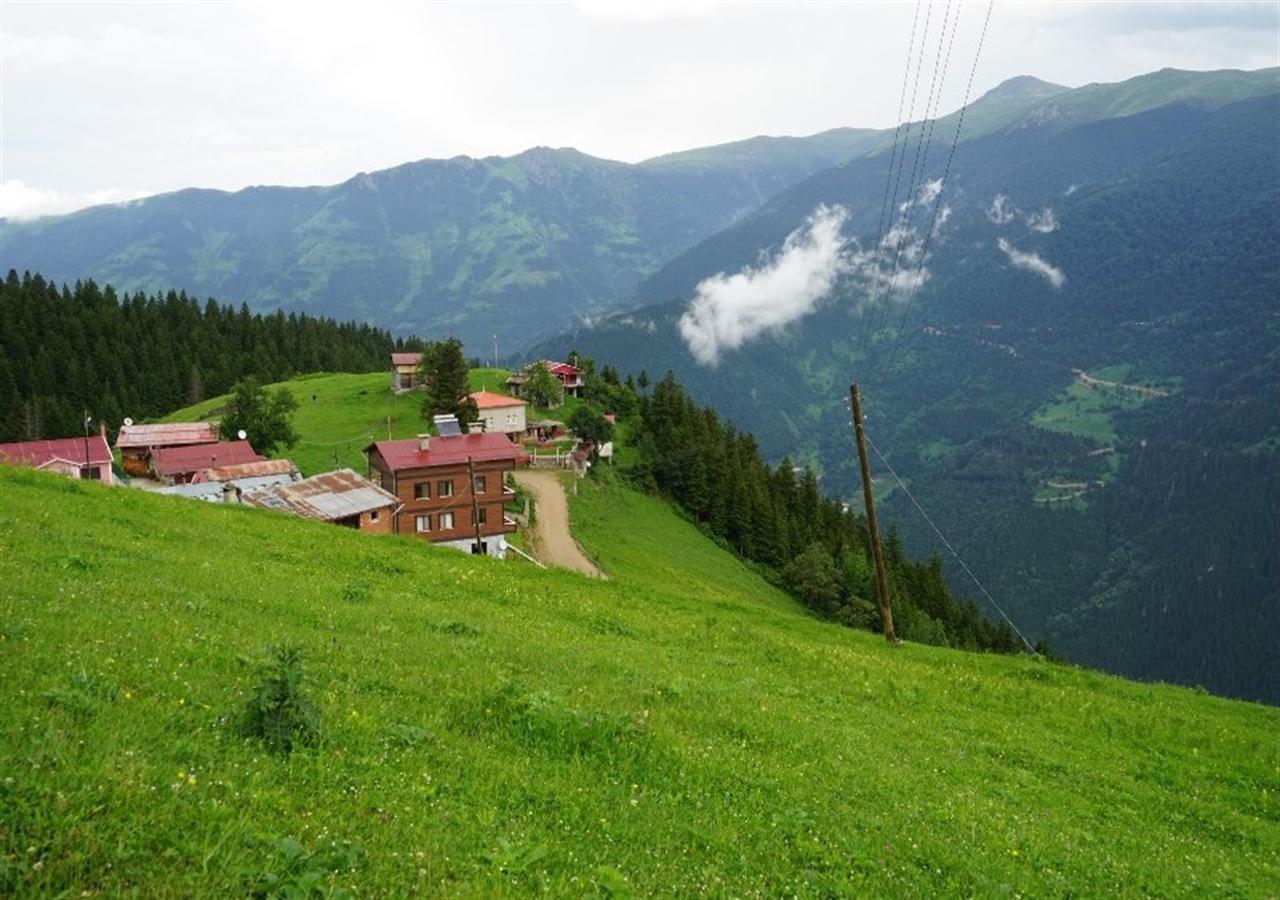 Gumul Pansiyon Uzungöl Exteriér fotografie