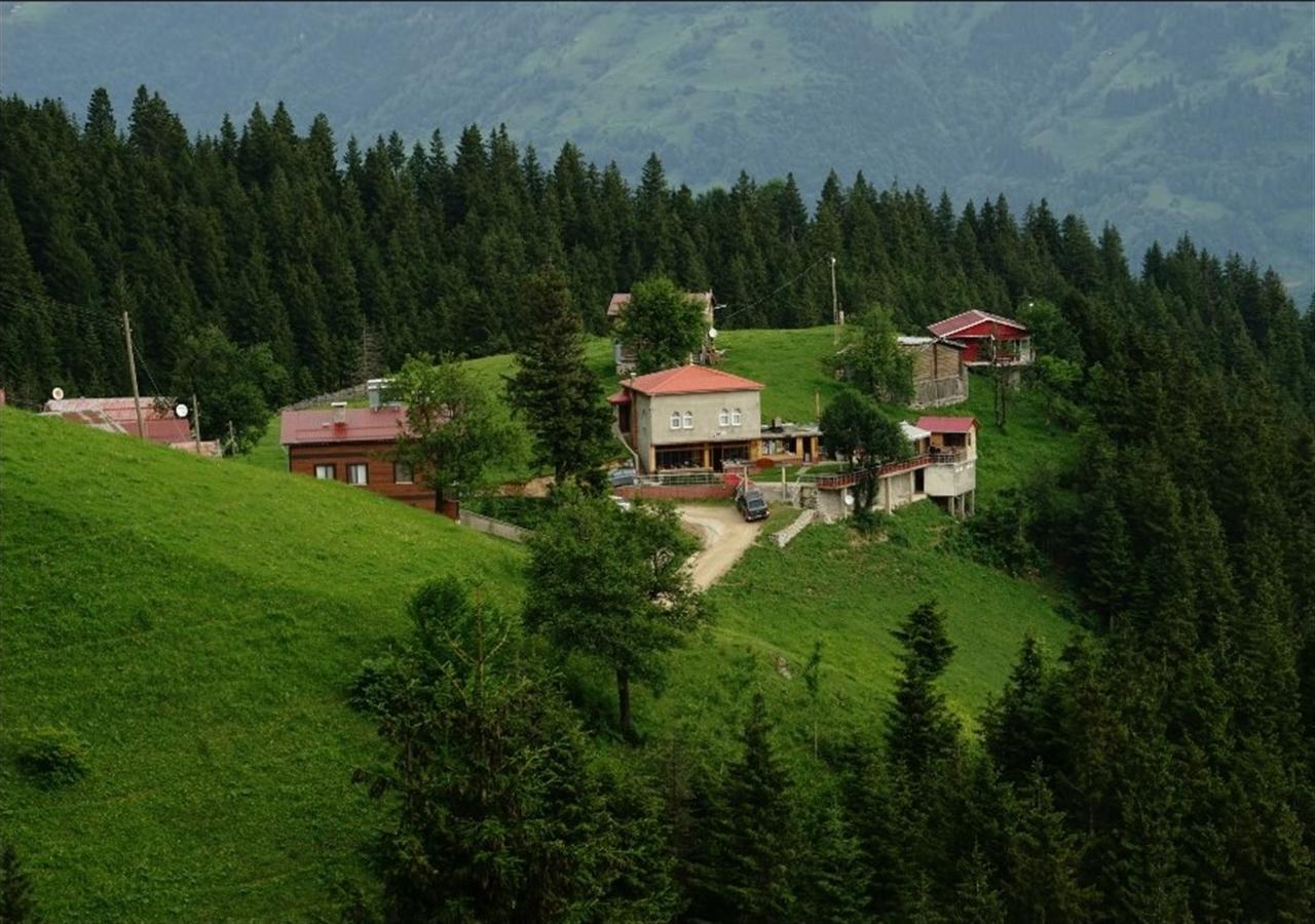 Gumul Pansiyon Uzungöl Exteriér fotografie